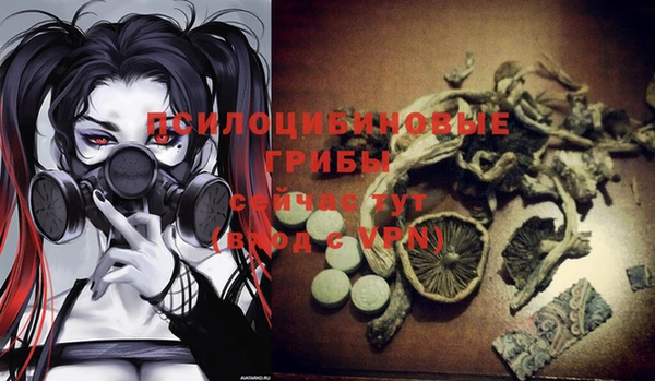 тгк Алексин