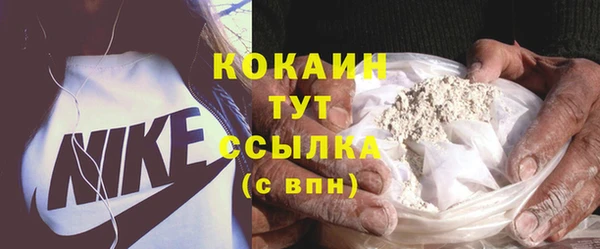 тгк Алексин