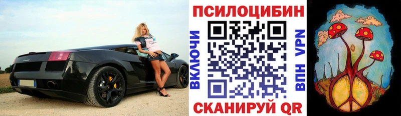 Галлюциногенные грибы Psilocybe  купить наркотик  Артёмовский 