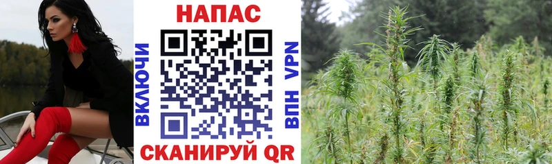 Бошки Шишки индика  купить наркотики цена  Артёмовский 